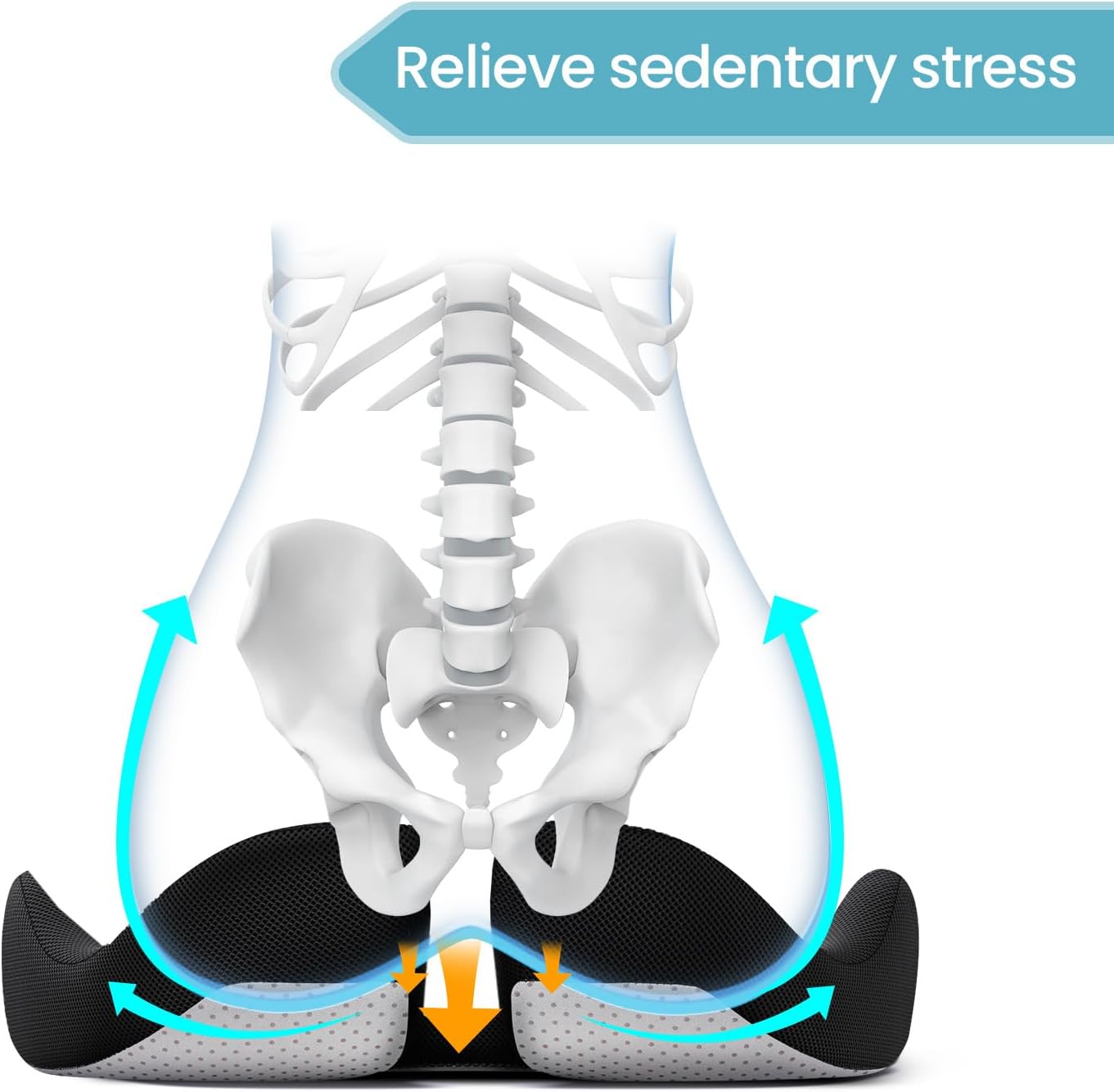 X Large Ergonomic Orthopedic Seat Cushion for Office Chair, Car Seat, Wheelchair